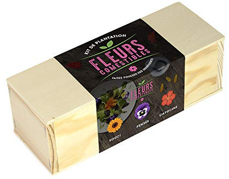 Resetea, Kit de plantation, Fleurs comestibles, Souci, pensée et capucine 1 Orange