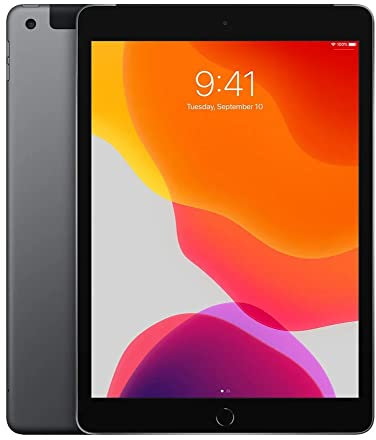 2019 Apple iPad (10.2-inch, Wi-Fi + Cellular, 32GB) - Space Gray (Renewed)