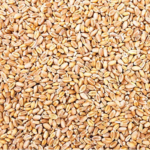 Petigi 30 Kg Weizen Hühnerfutter Hühner Huehner Futter Futterweizen Weizenfutter Weizenkorn Korn Getreide Geflügelfutter Sack Weizenkoerner Koerner Wildvögel