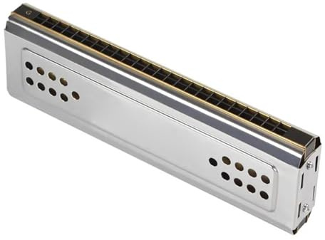 Professional Mundharmonika 2-in-1-Doppelseitige Tremolo-Mundharmonika Mundharmonika-Tonart C&G 24 Doppellöcher Rohrblatt Mit Gepolsterter Box