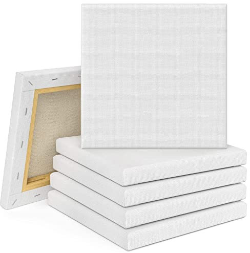 Tebery 10er Set Leinwand mit Keilrahmen 20x20cm, Leinwandbrett Künstler Keilrahmen, Aus 100% Baumwolle Keilrahmen zum Bemalen Ölfarben Skizzieren Zeichnen weiß