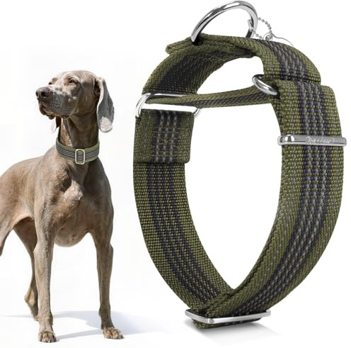 Dazzber 1.5 Martingale Dog Collar, Escape-Proof & Anti-Slip, Extra Strong Reflective Nylon, Adjustable Two-Color Stripe for Medium to X-Large Dogs (Olive Green& Charcoal,M)