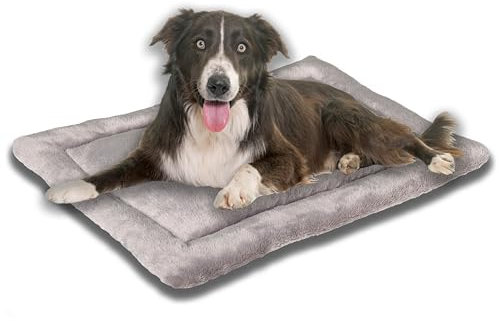 MyBestBuddy Hundekissen Komfort grau 70x50 cm M, allergikerfreundlich (100% Polyester), rutschfest - 40°C waschbar mit flauschigem Stoffbezug - Hundematte BZW. Hundebett für mittelgroße Hunde