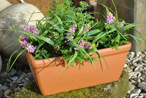 GartenGees Pflanzkasten,Blumenkasten,Terracotta,italienische Terracotta,frostfest,50 cm