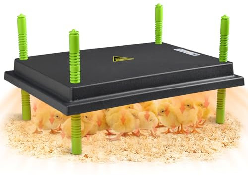 Shaledig Plateau Chauffant de 30 W pour Couveuse de Poulet de 30,5 x 40,6 cm avec Affichage de la Hauteur et de la Température Réglables pour Bébé Poussin et Caneton, Plaque de Couveuse de 30 W pour