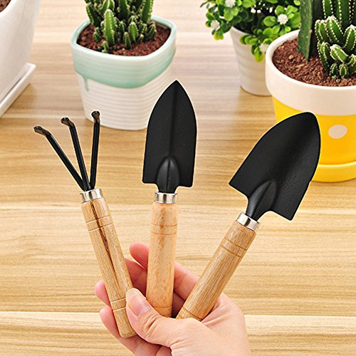 3 Pcs/Lot Mini pelles Jardin Pelle Râteau Outil de griffe avec poignées en bois outils de jardin Combinaison en métal tête pelles Jardin Outil