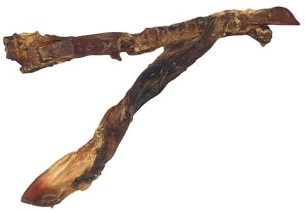 Food4Pets Pferde-Achillessehnen 1kg – natürlicher Hundesnack, sehr hart, ideal für Langen Kauspaß & Zahnpflege, im praktischen Frischebeutel