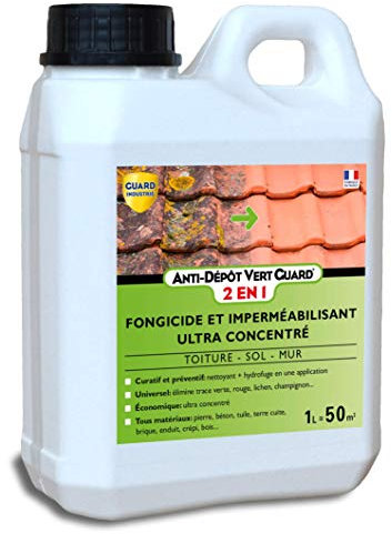 GUARD INDUSTRIE Anti Dépôt Vert Guard 2en1 Nettoyant Imperméabilisant Invisible Anti Champignon Lichen-Tous Matériaux- 1L -50m²
