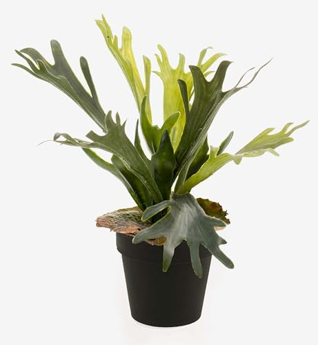 artplants.de Kunstpflanze Geweihfarn Lennon, grün, Ø 35cm - Kunststoff Hirschfarn