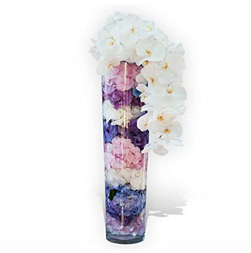 White Orchids in a Tall Cylinder Glass Vase, Orchid Flower Arrangement With Pink and Blue Hydrangeas, Perfect for Birthdays, Anniversaries and Mother's Day or Thinking of You Gift, FlowerStation