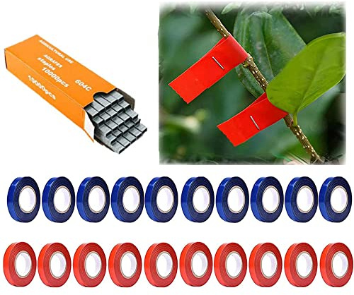 Swetero Lot de 20 rubans adhésifs pour machine à attacher les plantes, 30,5 m de long x 0,6 cm de large, avec une boîte d'agrafes, pour les légumes et les plantes