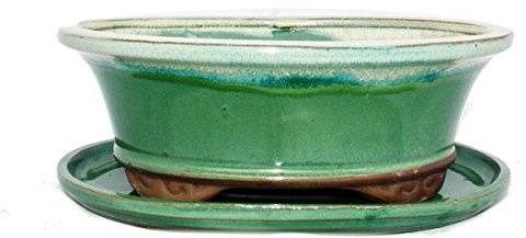 exotenherz Bol à bonsaï avec soucoupe taille 4 - vert/beige - ovale - modèle O4 - L 26 cm - l 21 cm - H 7,5 cm