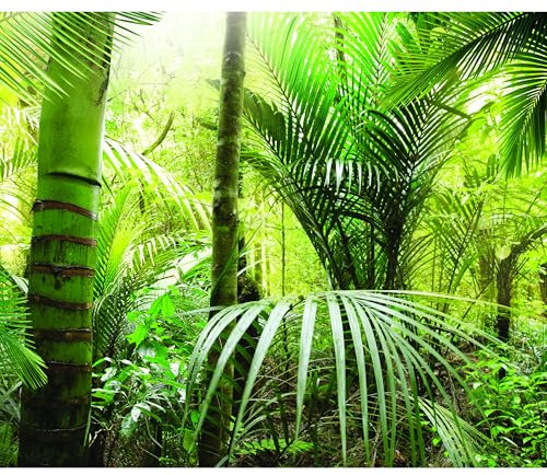 decomonkey - Papier Peint Panoramique Nature 350x256 cm - Décoration murale moderne – Tapisserie décorative pour chambre salon - Des arbres jungle forêt feuilles nature paysage