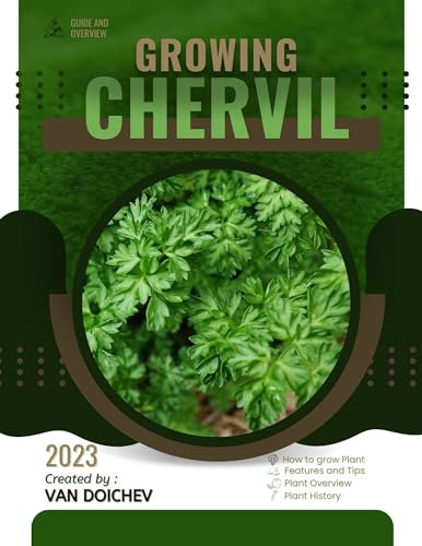 Chervil: Guide and overview