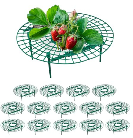 Relaxdays Set da 15 Anelli di Supporto per Fragole, Sostegno in Plastica per Piante da Orto, Rete Antimuffa, Verde