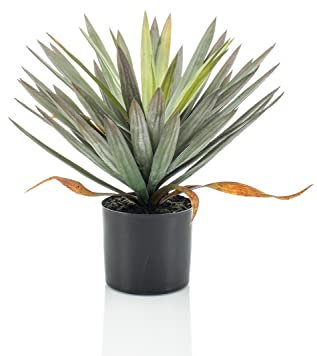 artplants.de False yucca KOUKI, 50 cm - Plastic palm tree