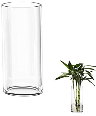 TSKDKIT Glas Blumenvase Modern Zylinder Vase, Handgemacht Kristall Vasen 20cm Hoch, Kerzenhalter Glas Blumenblume Pflanzenbehälter für Home Office Dekor, Tischdeko, Geburtstagsgeschenk(20 * 10cm)