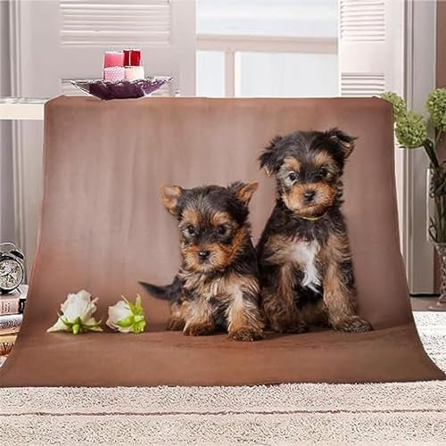 Kuscheldecke Flauschig 100x135 Süßer Hund 3D Decke Haustier Flanell Fleecedecke Weich und Warme Wohndecken Kuscheldecken Sofa Bett Überwurfdecke Sofadecke Couch Blanket Y8359