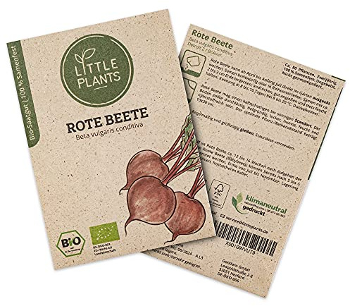 Little Plants BIO Rote Beete Samen, 80 Rote Beete Samen, hohe Keimrate, 100% Natürlich, BIO Samen Rote Bete Bolivar für Gemüsegarten, Gemüsebeet, Hochbeet – BIO Gemüsesamen Saatgut Nachhaltig