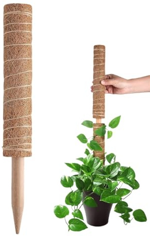 Moosstange für Kletterpflanzen | Topfpflanzen Klettermoosstab stapelbar | Zimmerpflanzen-Stützpfähle Anfänger Pflanzwerkzeug für Pothos, Monstera, Efeu