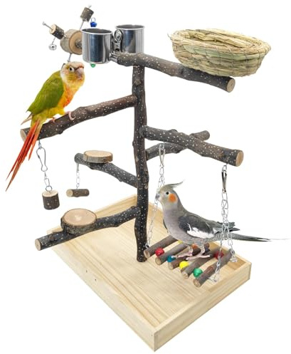 Apatal Parco giochi per uccelli in legno naturale per allenamento e gioco, supporto per pappagalli e palestra, giocattoli da masticare con scala appesa e mangiatoia in acciaio inox, supporto per