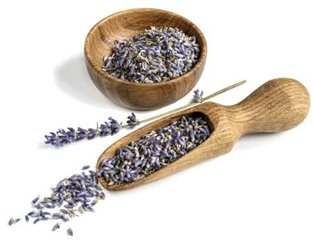 Semillas de Lavanda Planta Aromática Fácil de Cultivar en el Jardín