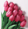 Anaoo 12pcs Tulipanes Flores Artificiales Falsas en Látex Ramos Flores de Tacto Real Banquete Arreglos Florales Decoración para Boda, Hogar, Fiestas, Jardín, Partido, Hotel, Rosa Caliente