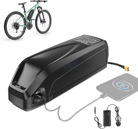Varstrom 48V 13Ah Ebike Battery with Charger & USB Port, Lithium Electric Bike Battery for 250W 500W 750W 1000W Bafang Ebike Conversion Kit