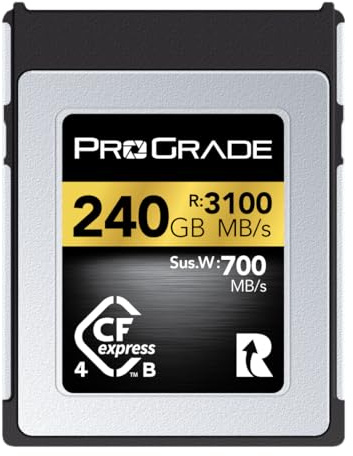 ProGrade Digital Memory Card - CFexpress 4.0 Type B for Cameras | Optimized for Express Transfer of Files & Large Storage | 240GB Gold Series