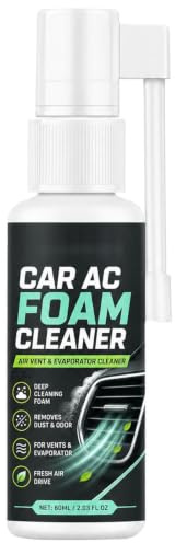 Limpiador de rejillas de ventilación del coche 60 ml Espuma De Limpieza