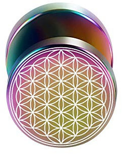 BlackAmazement 316L Edelstahl Fake Plug Ohrstecker Blume des Lebens Ornament 10mm schwarz Rose Gold blau Regenbogen Silber Herren Damen (Regenbogen)