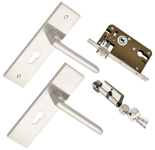 Qrity Ensemble de Serrure à Levier, Poignée de Porte Intérieure, Serrure de Porte pour Entrée ou Passage, Poignée de Porte de Chambre avec Clés et Accessoires
