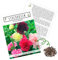 Stockrosen Samen zweijährig (Alcea Rosea, 100 Korn) - Wunderschöne Rosen mit langer Blütezeit für besondere Akzente in Ihrem Blumenbeet (Mix)