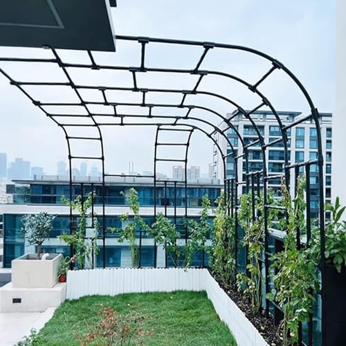 Pergola da giardino in metallo, resistente alle intemperie, struttura in acciaio, per patio, cortile, prato, decorazione per matrimoni, 260 x 240 x 40 cm