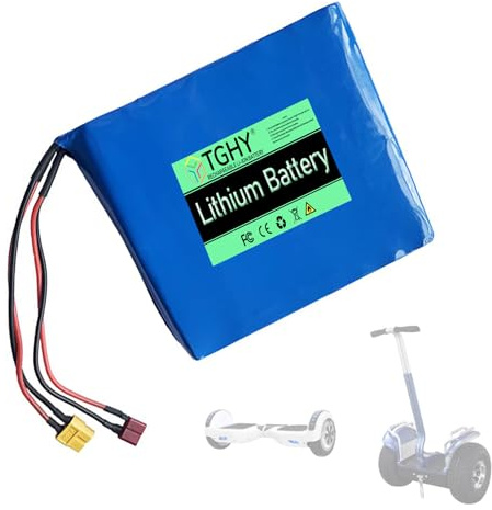 TGHY Batería de Litio de 60 V y 2,2 Ah para patinetes eléctricos de hasta 132 W, hoverboards y monopatines eléctricos. Accesorio de Repuesto.