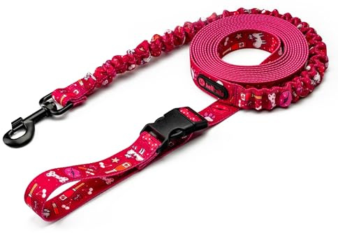 Helltails Ruckdämpfer Hundeleine mit Sicherheitskarabiner und Hüftgurt für Kleine, Mittelgroße und Große Hunde | Bungee Leine Hund | Trainingsleine mit Beckengurt | 2.4-4M Lange | Breite 2.5CM
