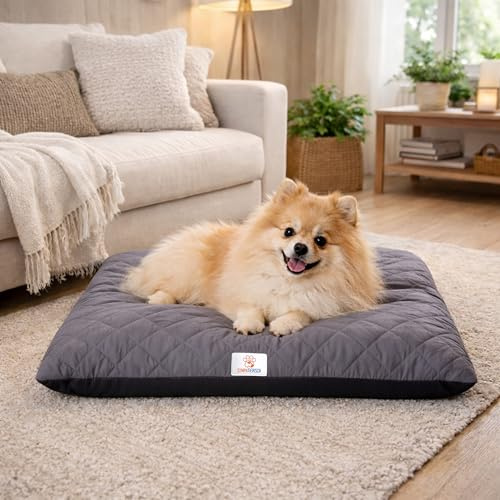 SympaTierisch Hundebett waschbar & wasserdicht – Hundematte/Hundekissen für große & mittelgroße Hunde – rutschfest, extra gepolstert, atmungsaktiv – grau | 60x50x8 cm