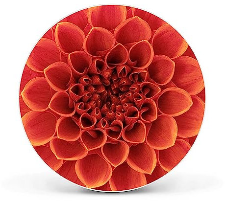 banjado Magnettafel Ø 47cm Weiß - Magnetwand aus Metall - Magnetpinnwand als Memoboard - Pinnwand Magnettafel Küche, Büro, Kinderzimmer inkl. 4 Magnete & Montageset - Orange Chrysantheme