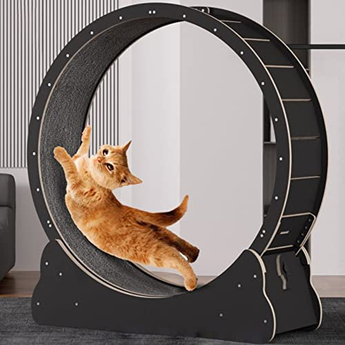 Katzenrad, Katzenlaufrad für den Innenbereich, Einfach zu Montierendes Katzenlaufband für Fitness und Gesundheit, Gerät zum Abnehmen von Katzen,Black-L