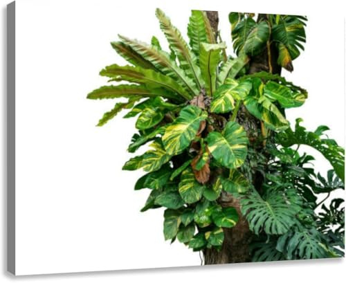Canvas Wall Art for Living Room Bedroom Kitchen Bathroom Office Rainforest tree trunk tropical foliage plants Monstera golden pothos Framed Prints Pictures Wall Decor Posters Painting Artwork 30x20