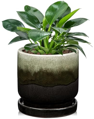 Oairse Keramiktopf für Pflanzen, 13 cm, Keramik-Pflanzgefäß, dekorativer kleiner Topf mit Ablaufloch und Untersetzern, Farbverlauf, schwarz, für den Außenbereich, Inoor-Blumentopf für Sukkulenten