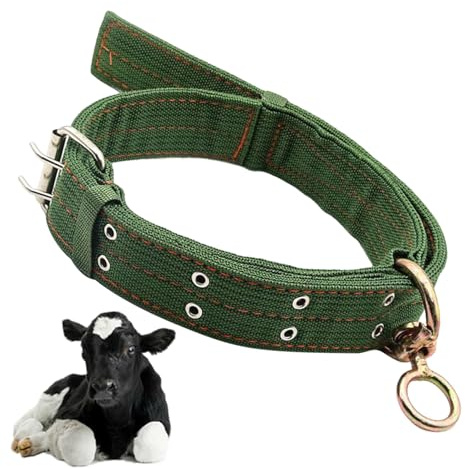 Collier Pour Bétail | Collier Ajustable Pour Animaux | Équipement De Gestion Pour Pâturage Transport Formation Alimentation | Harnais De Traction Pour Veau Et Cheval
