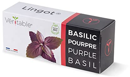 Véritable Lingot® Albahaca Morada Bio - Compatible con Huerto di Interior Exky® - Recarga Lista para Usar - Sustrato con Semillas integradas
