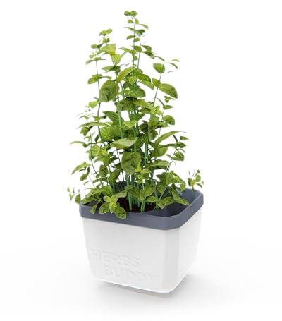 GUSTA GARDEN Herbs Buddy - Selbstbewässerungstopf & Kräutertopf für Küche & Fensterbank, Ideal für Basilikum, Wassertank, Wasserstandsanzeige