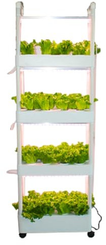 Cxlly JardíN HidropóNico, Macetero Vertical para Cultivo Interior, JardíN De Hierbas Inteligente con Temporizador Y Riego AutomáTico para Sistemas De JardineríA Interior.(with Light,4 Layer)