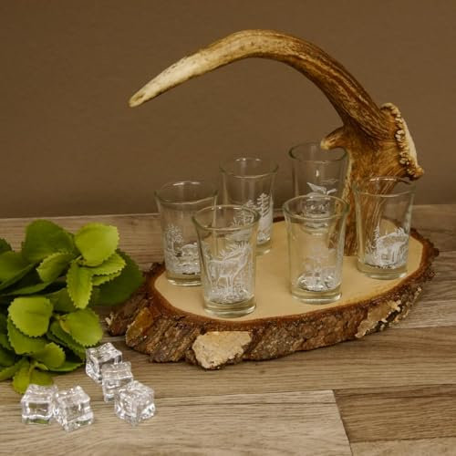 GTK - Geweihe & Trophäen KRUMHOLZ Schnaps Anbieter Birkeschild mit Hirschspitze/Rose Griff, 6 Stück Gläser hoch 2cl mit Jagdmotiv weiß