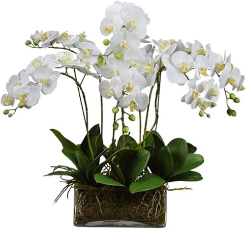 UYHBCNQD Orchidea Finta Orchidea Artificiale con Vaso di Vetro Fiore Artificiale Fiori di Phalaenopsis Trasparenti Orchidee finte Moderne Floreali finte in Seta Aspetto Naturale
