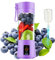Portable Blender-13Oz Mini Blender Upgrade The 6-Blade, Baby Food Blender Fruit Mixing Machine Travel Handheld Blenders with USB Rechargable Purple 1.2