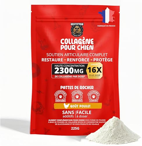 Rock and Paw Kollagen für Hunde | Natürliches Pulver für Gelenke mit Glucosamin, Chondroitin, Hühnerleber | Mobilitätsunterstützung für ältere Hunde | gesunde Haut, Fell und Knochen | 225 g