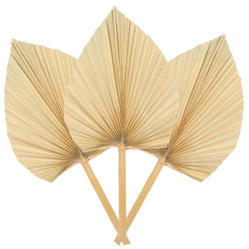 UKCOCO Hojas De Palma Secas Decorativas De Abanico 3 Piezas, Hojas Naturales para Arreglos , Decoración De Bodas y Fiestas, Ambiente Rústico y Artesanal, Decoración De Pared y Eventos